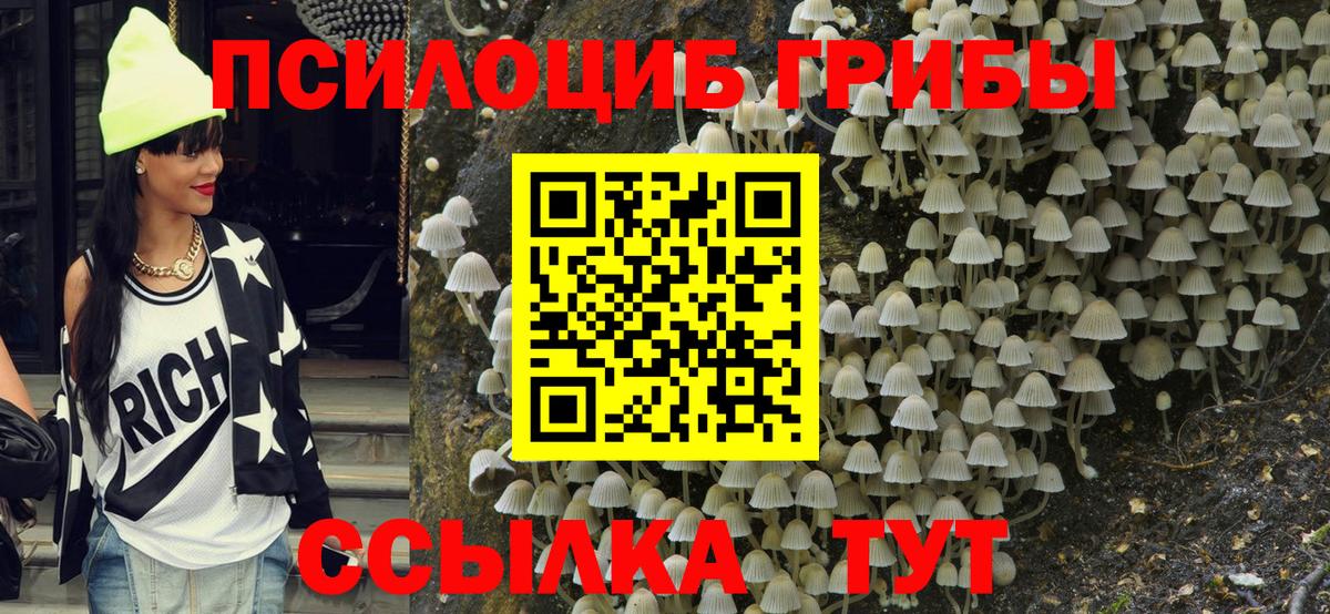 Избербаш  Псилоцибиновые грибы ЛСД  Вход с VPN 